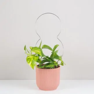 Pokojové rostliny, řasokoule a příslušenství Dekorativní opora pro rostliny osmička kovova tyc ke kytkam opora pro pokojovky