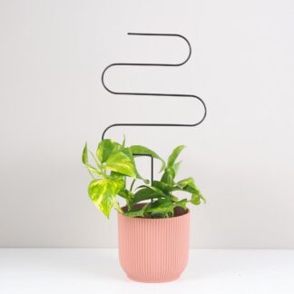 Pokojové rostliny, řasokoule a příslušenství Dekorativní opora pro rostliny vlnka velka kovova tyc ke kytkam opora pro pokojovky