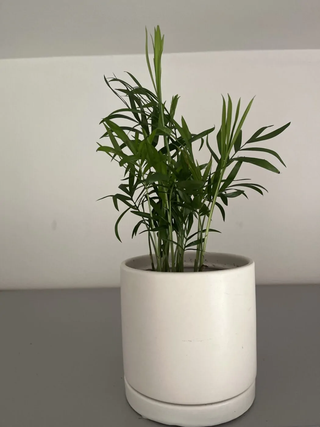 Obrázek #1 od Miroslava B.