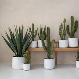 Květináč Charlie white washed kvetinac charlie white washed bily betonovy keramicky