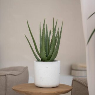 Květináč Charlie white washed kvetinac charlie white washed bily betonovy keramicky