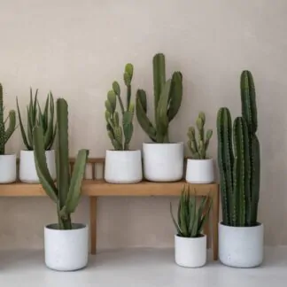 Květináč Charlie white washed kvetinac charlie white washed bily betonovy keramicky