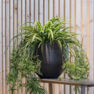 Květináč Orb black washed kvetinac orb black washed cerny antracitovy betonovy keramicky