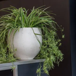 Květináč Orb grey washed kvetinac orb grey washed sedy betonovy keramicky