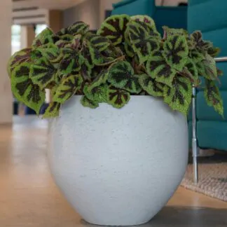 Květináč Orb grey washed kvetinac orb grey washed sedy betonovy keramicky