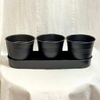 Set 3 italských bylinek s květináči