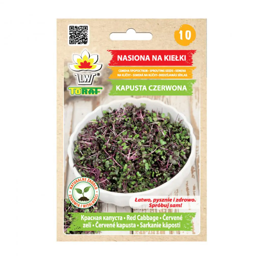 Červené zelí semínka na klíčení 10 g cervene zeli semena na kliceni microgreens klicky kliceni