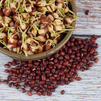 Fazole Adzuki semínka na klíčení 50 g fazole adzuki semena na kliceni microgreens klicky kliceni