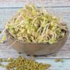 Fazole Mungo semínka na klíčení 50 g fazole mungo semena na kliceni microgreens klicky kliceni