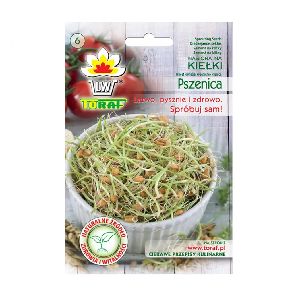 Pšenice semínka na klíčení 50 g psenice semena na kliceni microgreens klicky kliceni