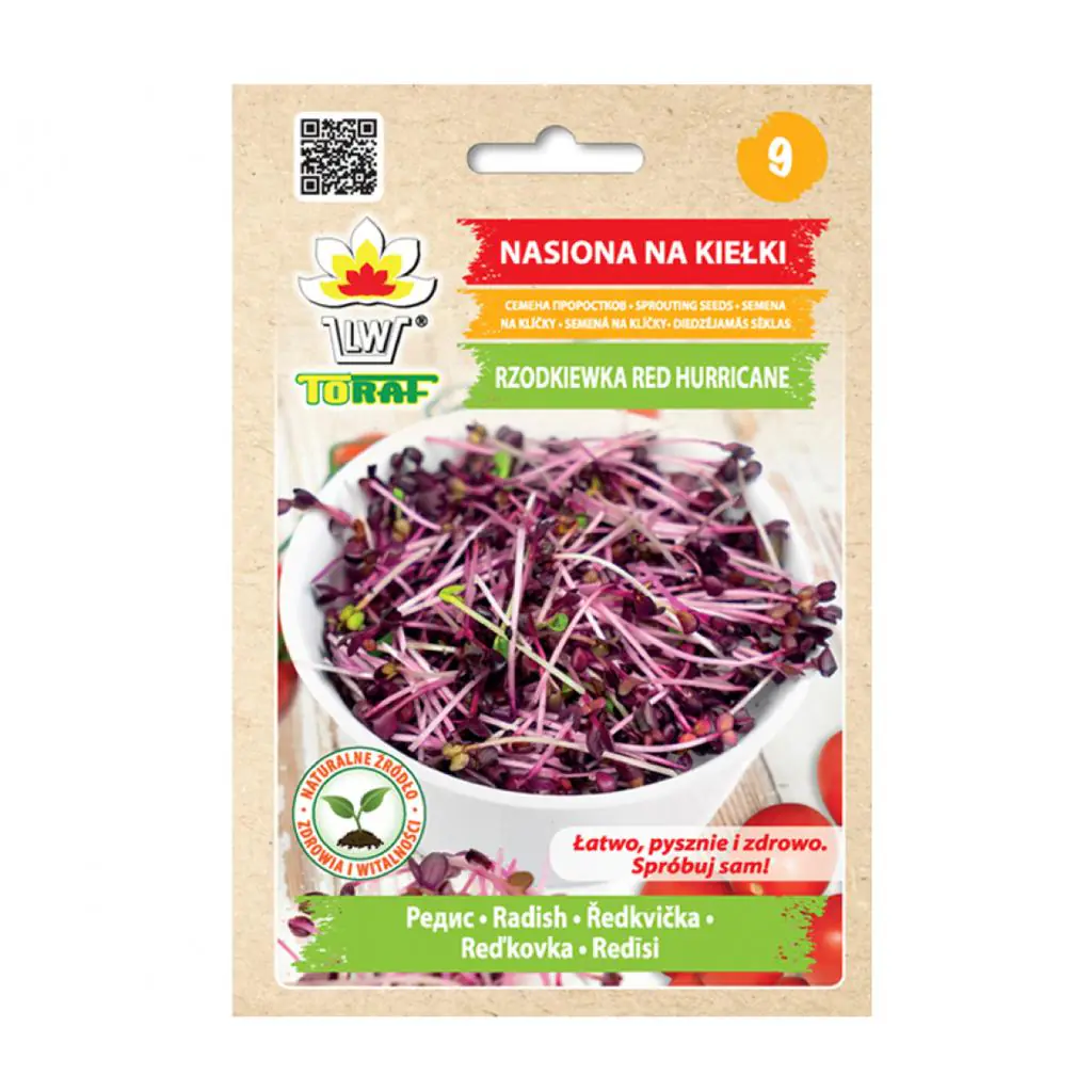 Ředkvička Red Hurricane semínka na klíčení 10 g redkvicka red hurricane semena na kliceni microgreens klicky kliceni