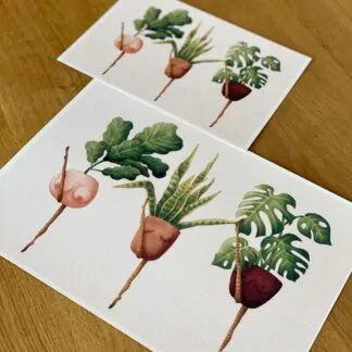 Botanická ilustrace Květinový kankán wearewind