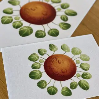 Botanická ilustrace Hello plantshine! wearewind