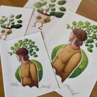 Botanická ilustrace Pilea punk wearewind