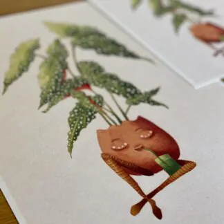 Botanická ilustrace Žíznivá begonie wearewind