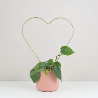 Pokojové rostliny, řasokoule a příslušenství Dekorativní opora na rostliny srdce kovova tyc ke kytkam opora pro pokojovky