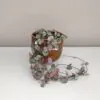 Lampsik Ceropegia woodii 'Variegata' tahava rostlina