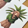 Botanická ilustrace Kalatea a přadeno štěstí botanicka ilustracia calathea a klbko stastia wearewind plantizia Plantizia.cz