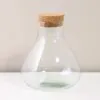 Nádoba na řasokoule s korkem 17x20 cm skleněná nadoba s korkem na řasokoule baňka plantizia
