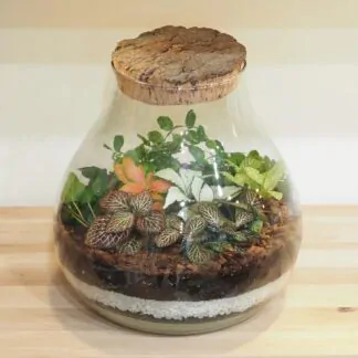 Rostlinné terárium s korkem uzaverem Vyrob si sám diy set na vyrobu