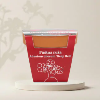 poustni ruze adenium obesum deep red cervena pestitelsky set semen pokojovych rostlin