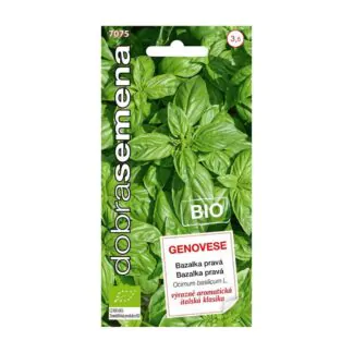 bio seminka bazalka prava ze seminek dobra semena