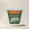 Pěstitelský set Dracaena draco dracaena draco draci strom pestitelsky set semen pokojovych rostlin