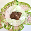 Hlíza Caladium ‘Seafoam Pink’ hliza caladium seafoam pink jak vypestovat kaladium z hlizy