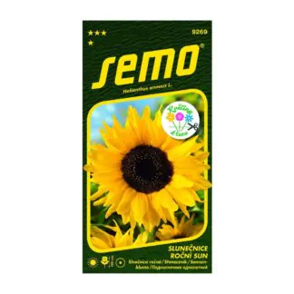 slunecnice rocni sun seminka kvety na rez ze seminek