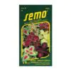 seminka coleus rainbow africka kopriva semena semo