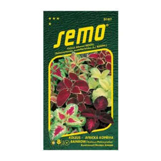 seminka coleus rainbow africka kopriva semena semo