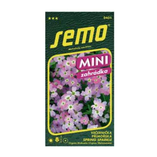 seminka vecernicka primorska spring sparkle letnicka kvetiny do zahrady semo