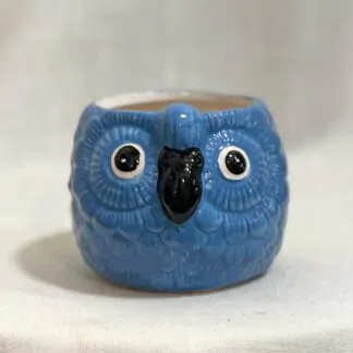 Pokojové rostliny, řasokoule a příslušenství Dekorační květináč Papoušek modry