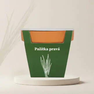 seminka pazitka prava pestitelsky set byliynky ze semen