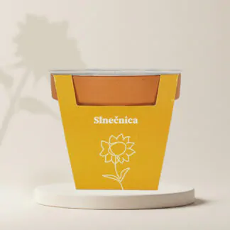 slunecnice pestitelsky set seminka kvety na rez ze seminek