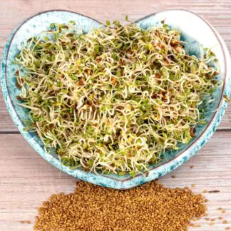 Pokojové rostliny, řasokoule a příslušenství alfalfa semena na kliceni microgreens klicky kliceni